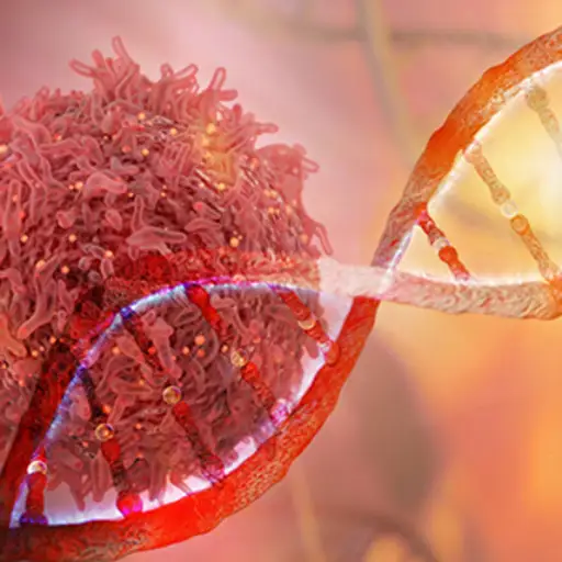 癌细胞和DNA链。