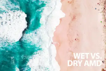 湿amd vs dry amd