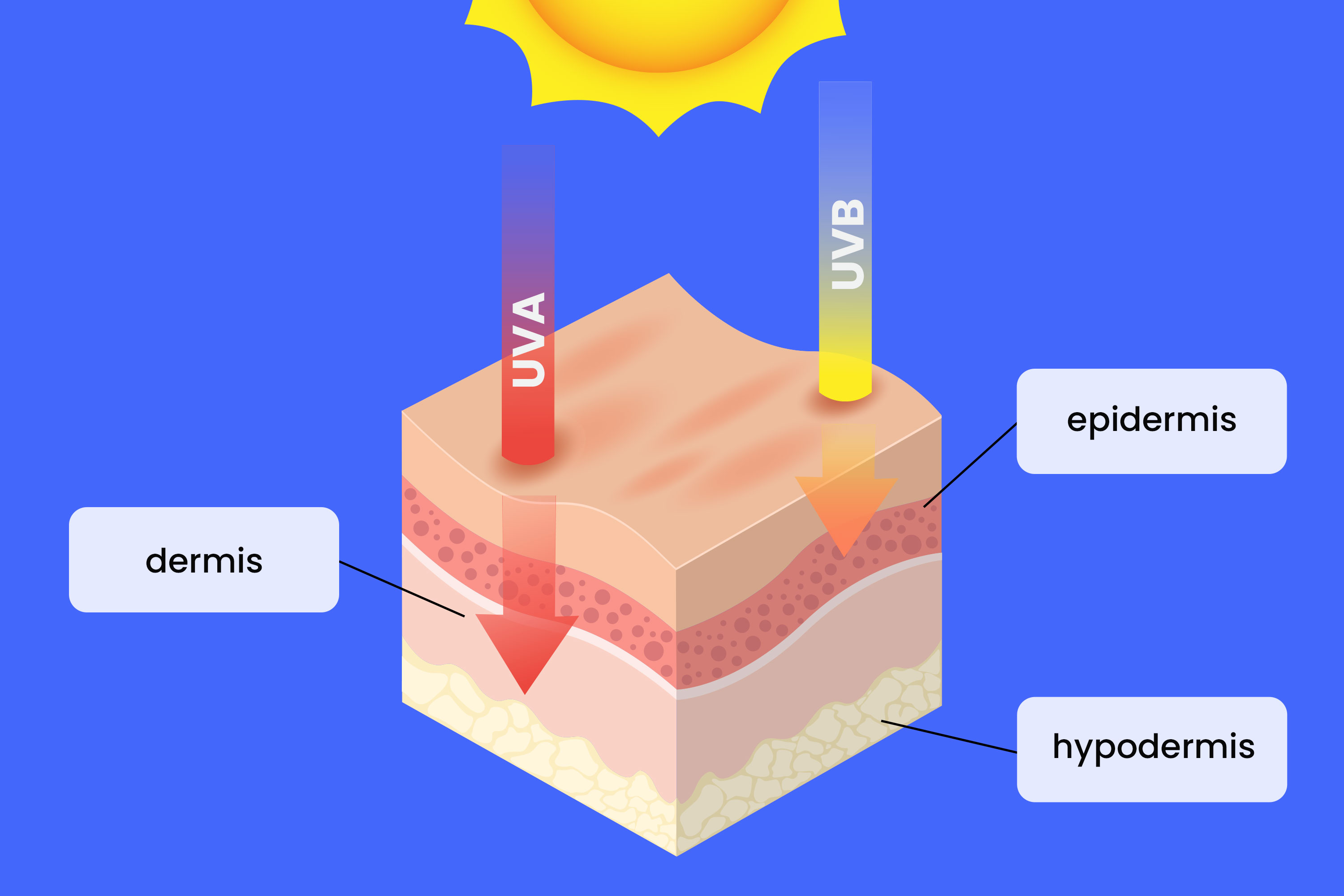 UVA vs. UVB Rays: What's the Difference?