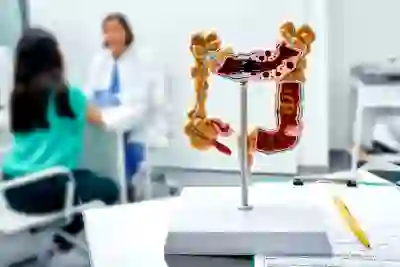 一个肠道模型的视图和医生与病人在后台咨询