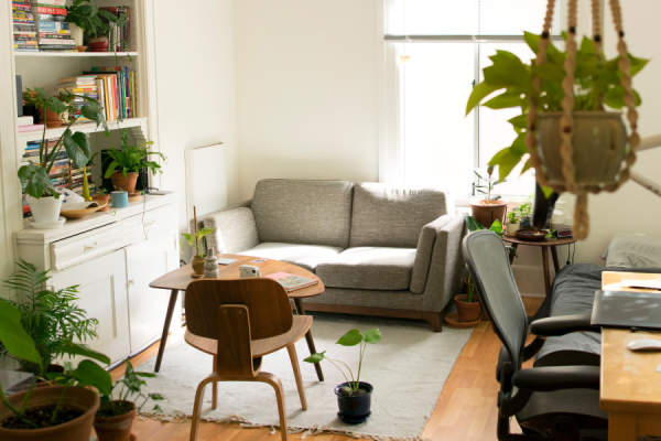 舒适的客厅与许多植物