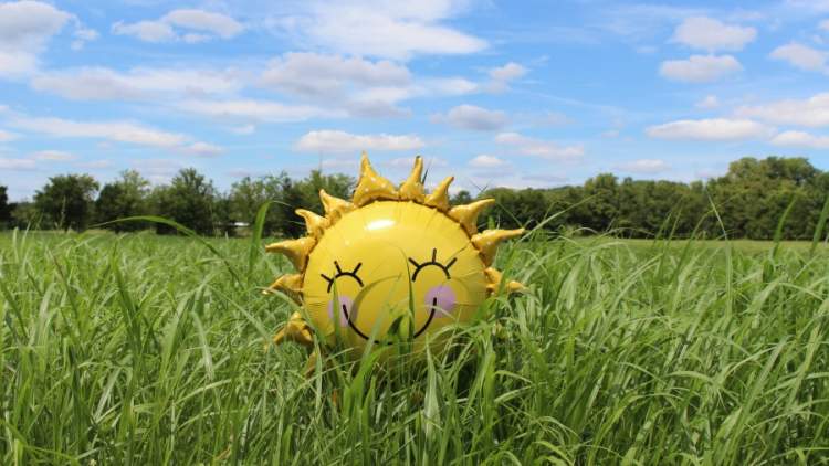 太阳形状的微笑气球在草