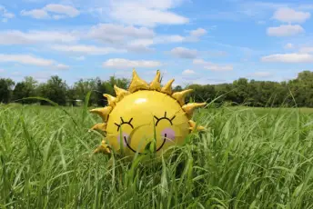 阳光在草地上的微笑气球