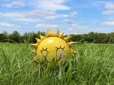 阳光在草丛中形成微笑的气球