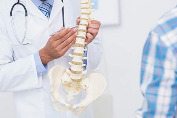 医生给他的病人展示解剖用的脊椎