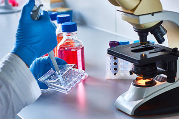 干细胞癌研究。