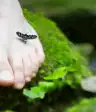 脚上有一个漂亮的臭虫