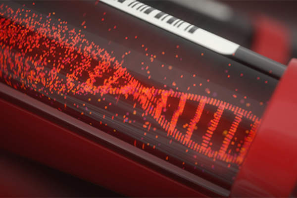 脱氧核糖核酸。