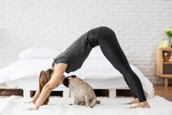 用哈巴狗做瑜伽的女人