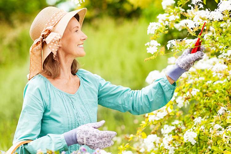 中年女子园艺。