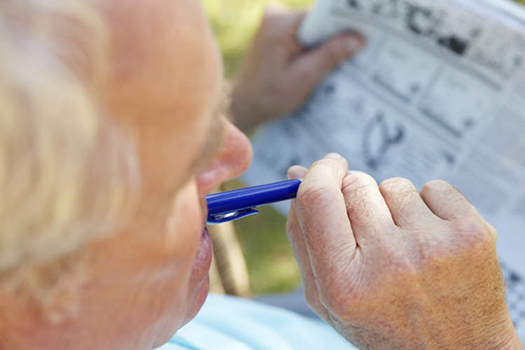 做填字游戏的人