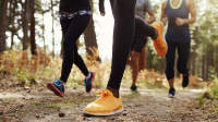 在森林里奔跑的四个年轻人的腿和鞋