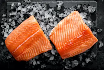 salmon