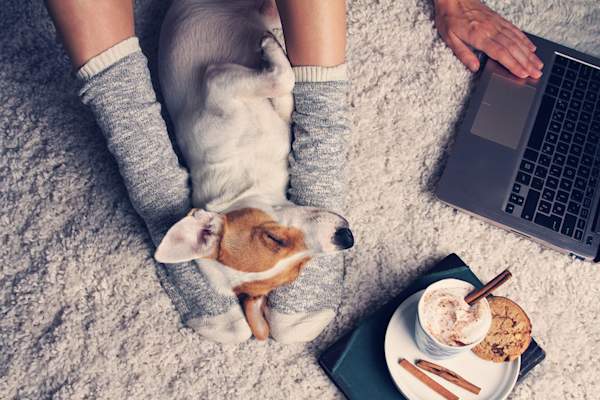 狗的热水瓶帮助保持脚温暖。