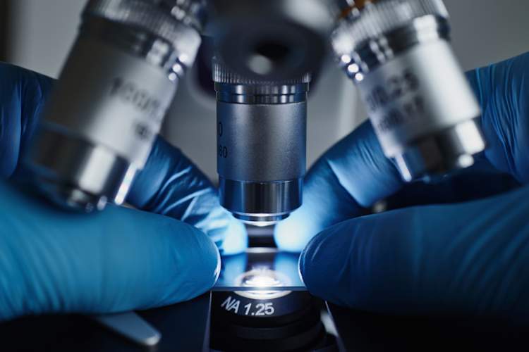 科学家使用显微镜