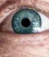 高年级的蓝眼睛