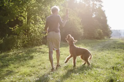一位女士带着她的狗散步，有一个突发事件的计划让她继续前行。