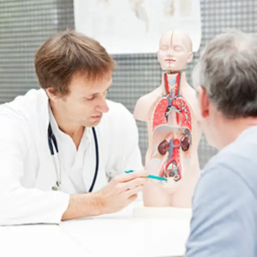 医生与男性患者谈话关于尿路。