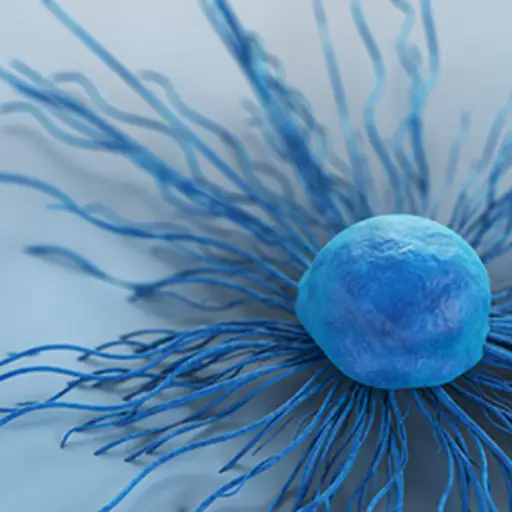 Cervical cancer.