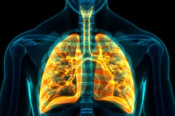lung vulnerability