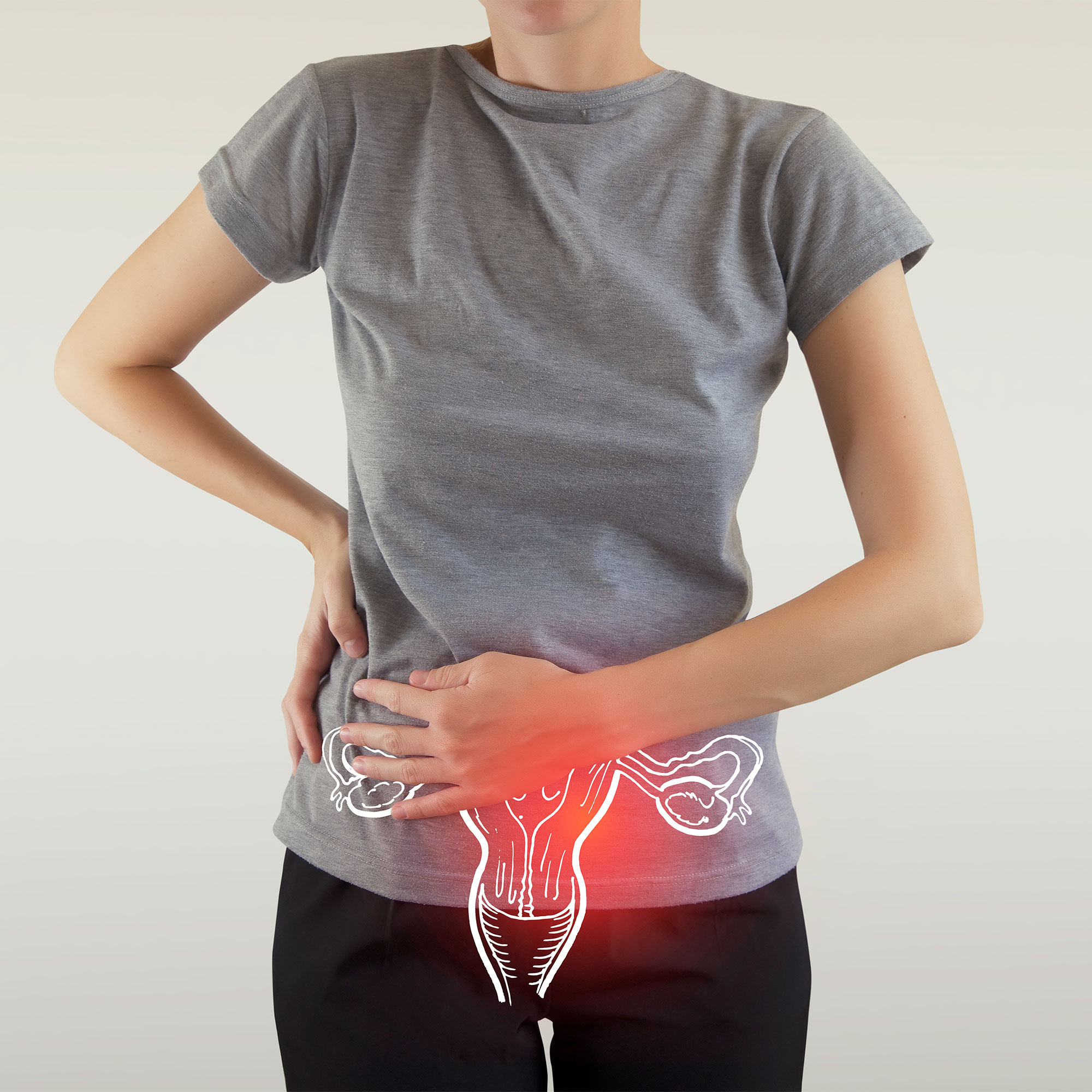 女性生殖系统的可视化