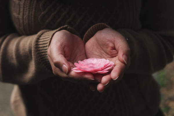 女人的手捧着粉红色的花