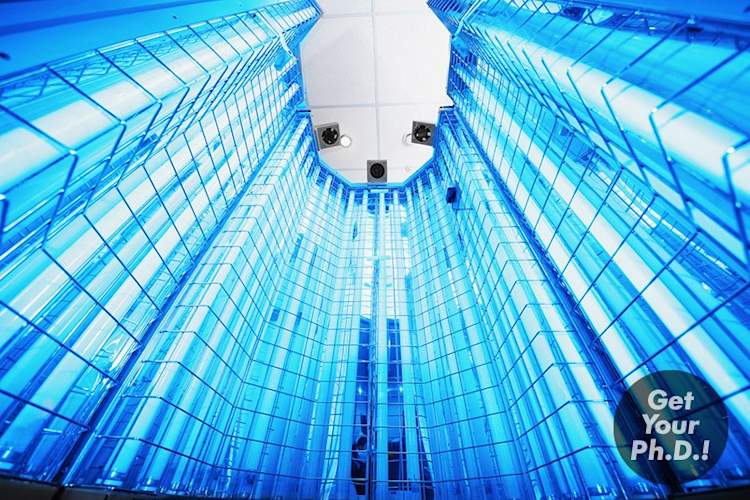 全身光疗法摊位贴纸