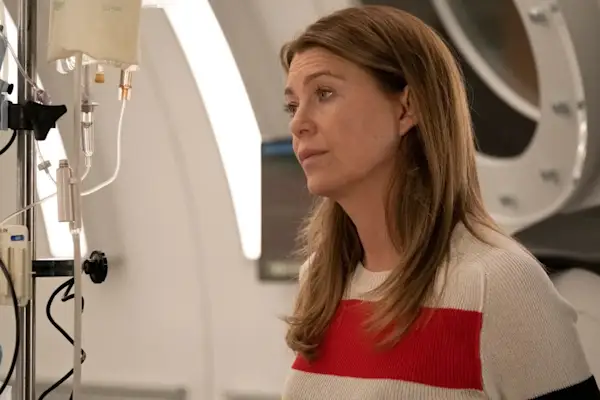 《实习医生格蕾》中的艾伦·庞皮欧