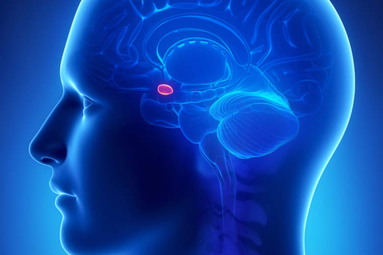 CBT可以通过改变大脑来缓解焦虑