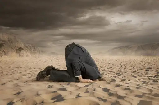 逃避概念的人把头埋进沙子里。
