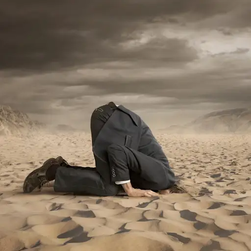 逃避概念的人把头埋在沙子里。