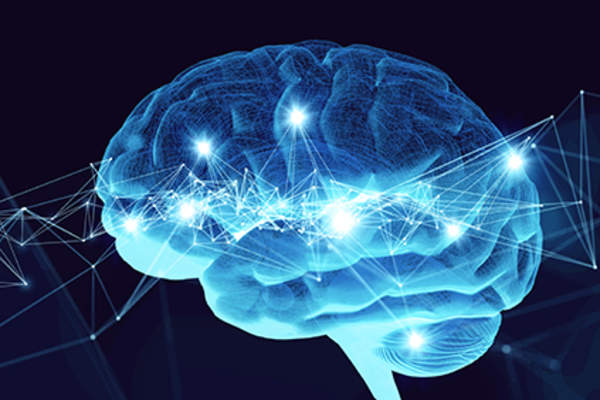 大脑活动。
