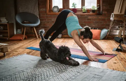 一个女人在家里和她的狗做瑜伽姿势。