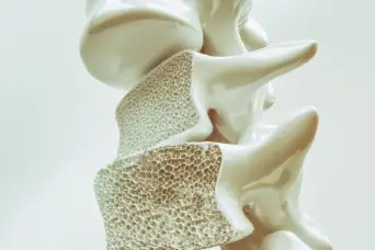 骨质疏松症脊柱