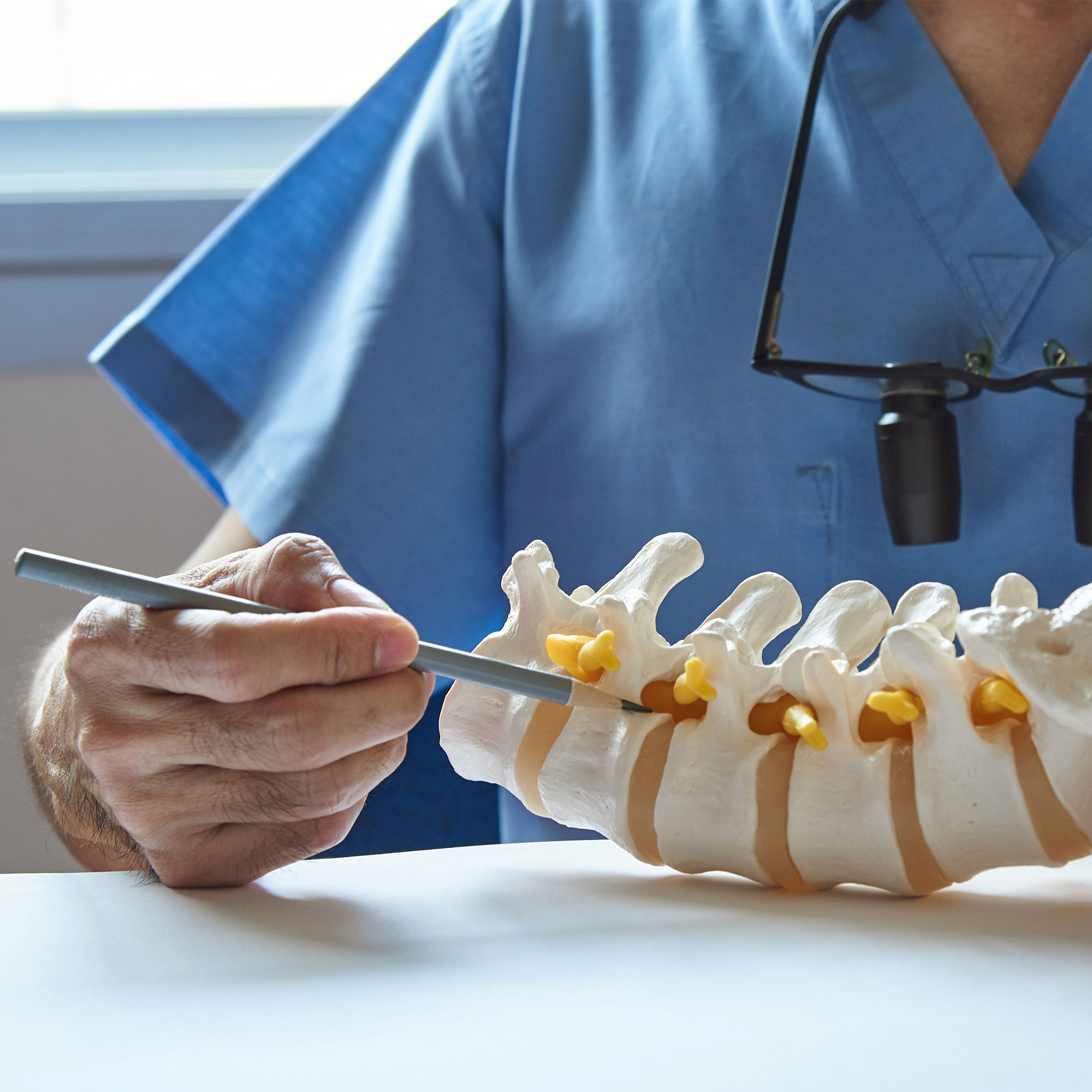 指向脊柱模型的医生的视图