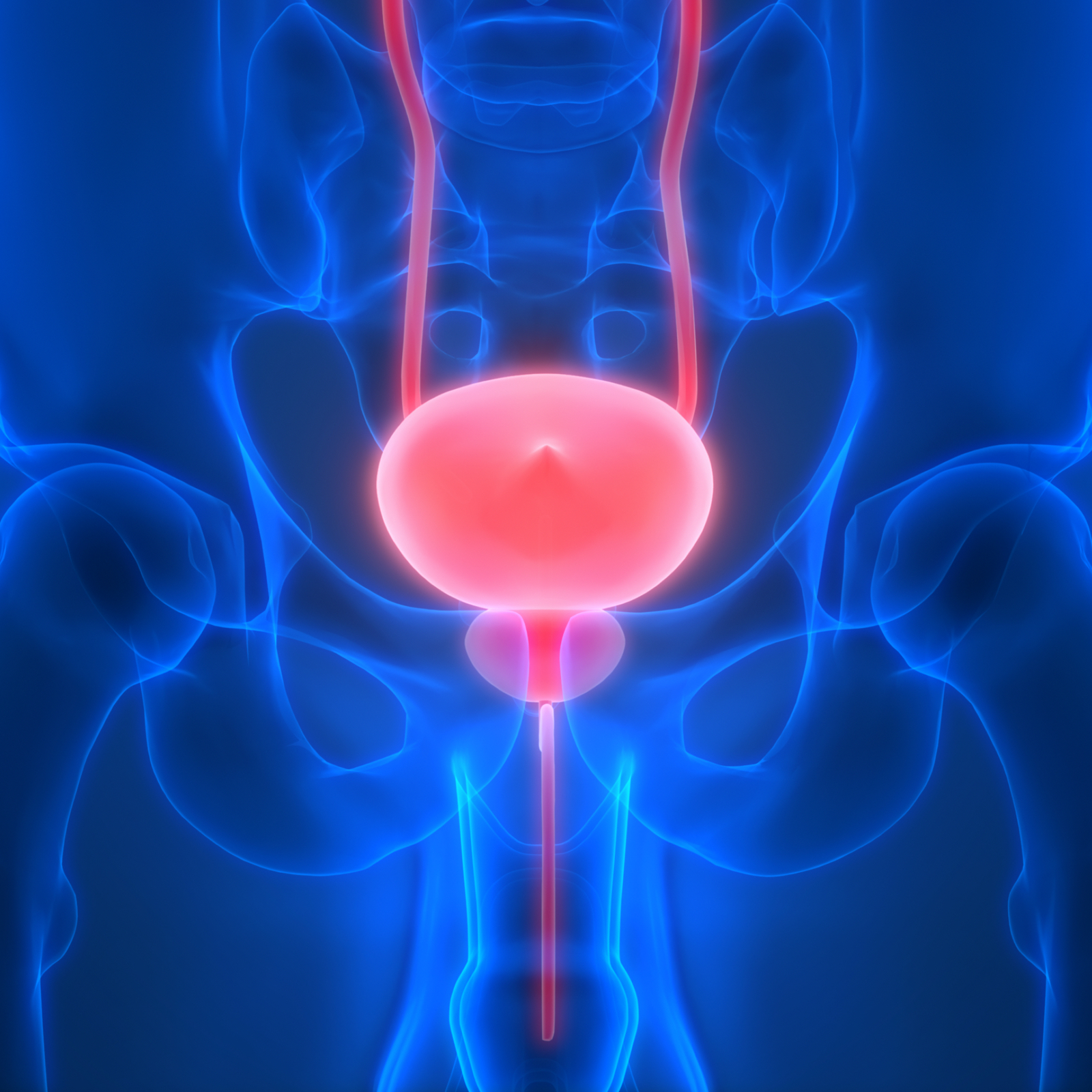 Symptoms of Overactive Bladder photo