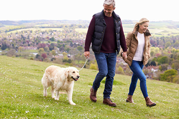 夫妇在山上走。