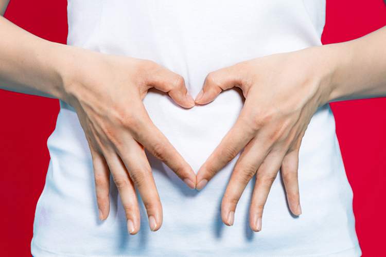 做妇女的心脏有超过她的胃肠道的双手展示消化系统的健康。