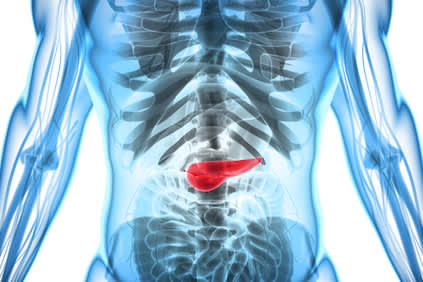 突出显示人体躯干的胰腺。