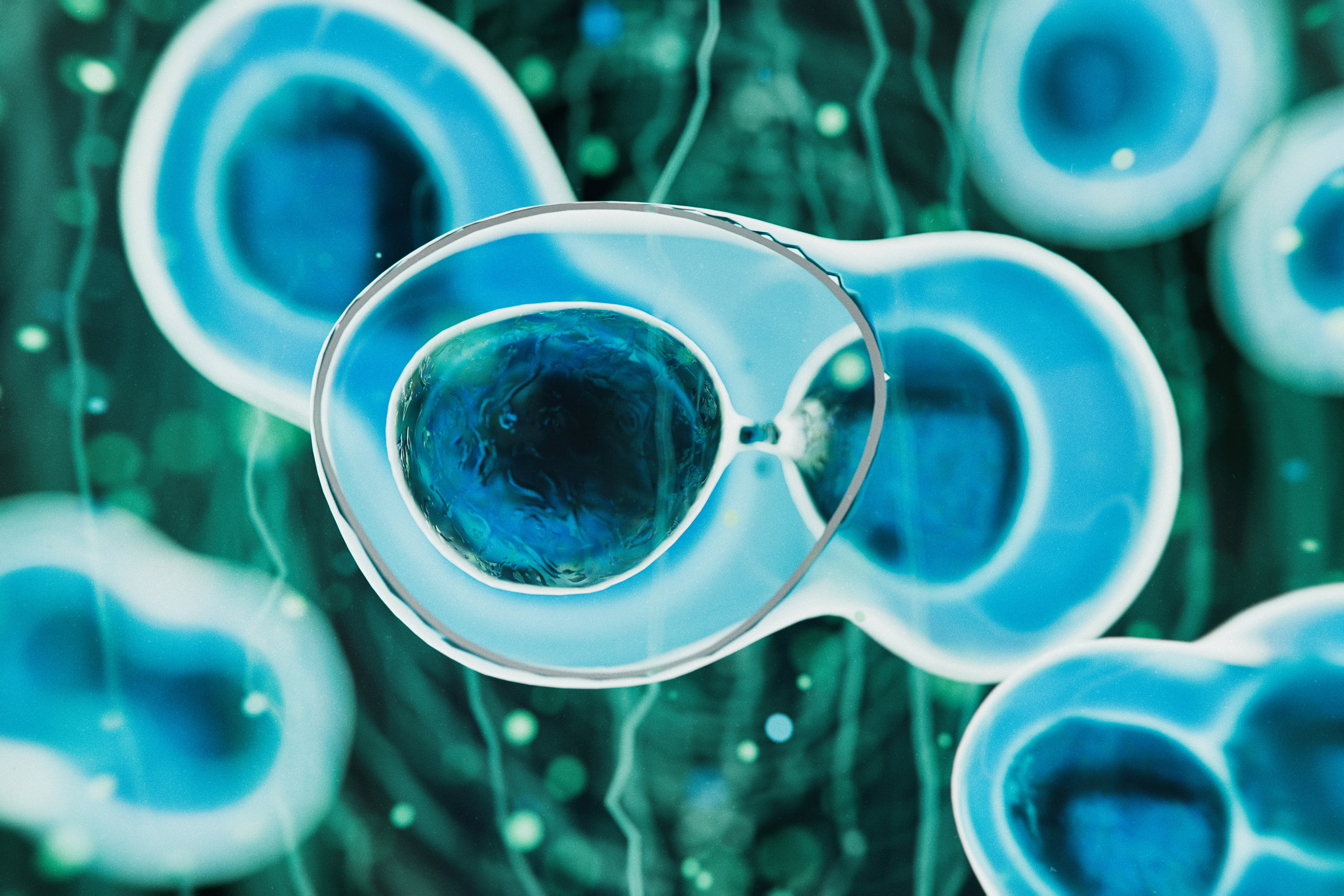 A Stem Cell Therapy Advance May Show Promise in Type 1 Diabetes