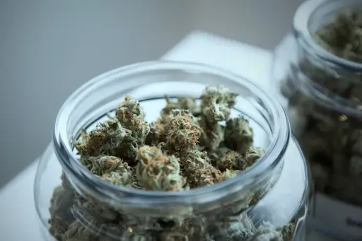 marijuana buds in a glass jar