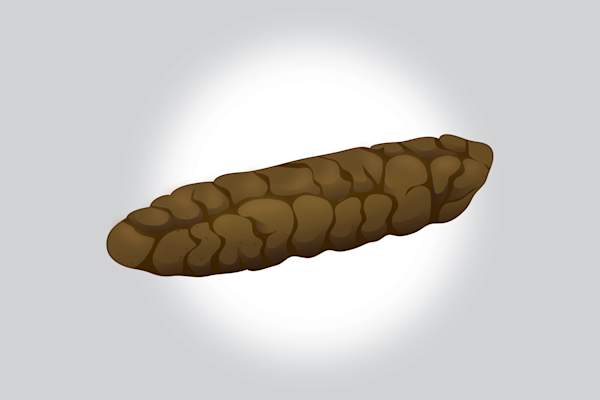 布里斯托尔3.