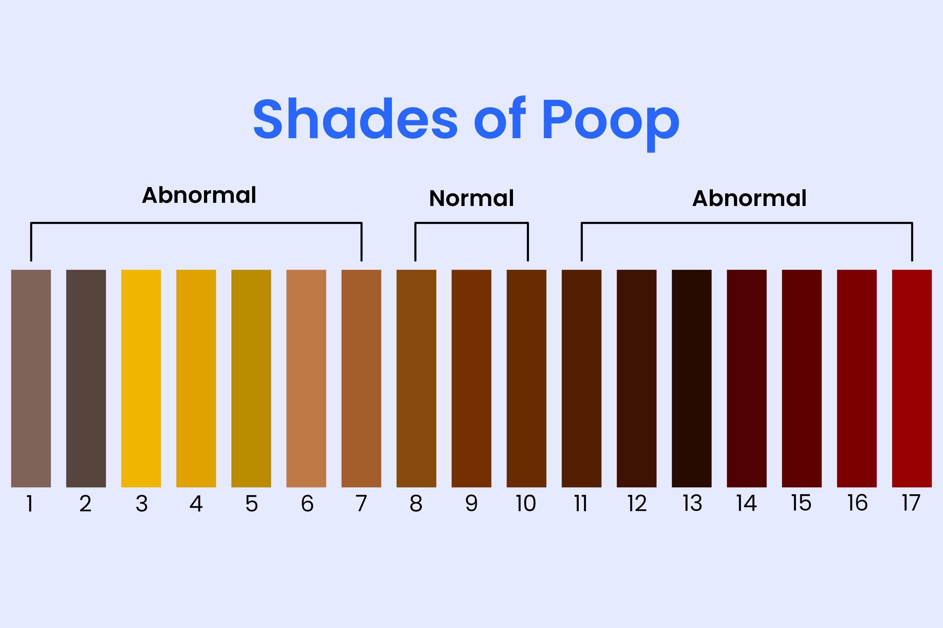 Poop Color Chart 3000x2000 
