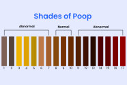 Yellow Poop What Does It Mean And Should I Be Worried 