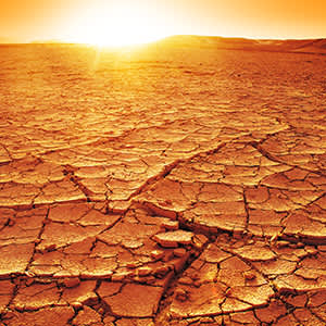干燥的沙漠图像
