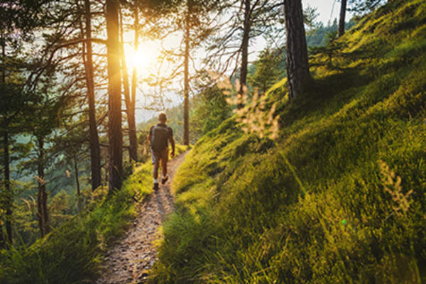一个人走在树林里的自然小径上。