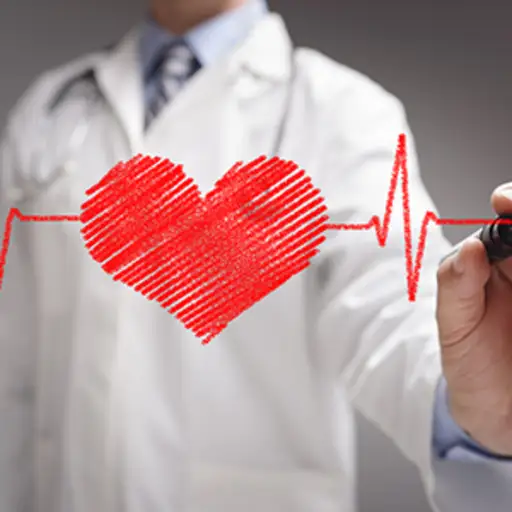 医生绘制心电图和心脏图像。
