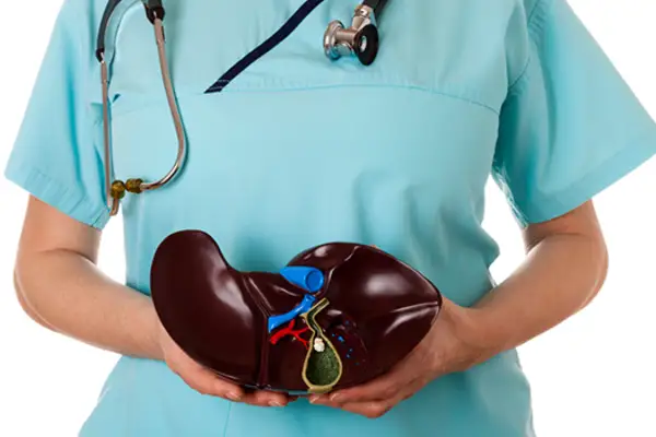 医生抱着胆结石模型。