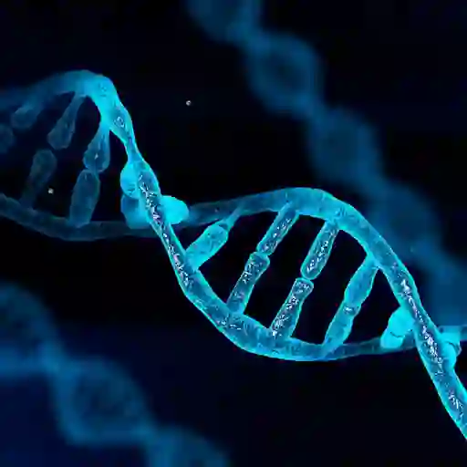 DNA