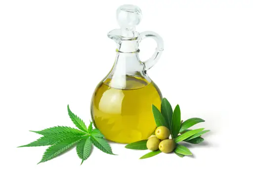 CBD olive oil